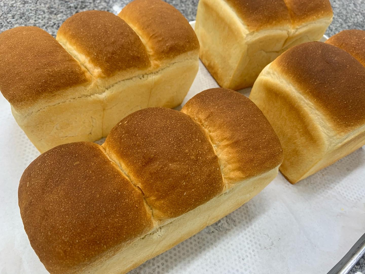 마이스터프로벡트2_ 09.15(목) 저온숙성식빵