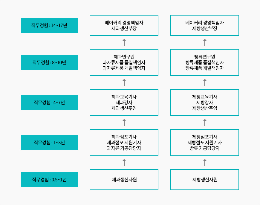 Career Pathway 제과·제빵에 제과라인은 직무경험0.5~1년:제과생산사원 / 직무경험1~3년:제과점포기사, 제과점포 지원기사, 과자류 가공담당자 / 직무경험4~7년:제과교육기사,제과강사,제과생산주임 / 직무경험8~10년:제과연구원,과자류제품 품질책임자,과자류제품 개발책임자 / 직무경험:14~17년:베이커리 경영책임자,제과생산부장 / 제빵라인은 직무경험0.5~1년:제빵생산사원 / 직무경험1~3년:제빵점포기사,제빵점포 지원기사,빵류 가공담당자 / 직무경험4~7년:제빵교육기사,제빵강사,제빵생산주임 / 직무경험8~10년:빵류연구원,빵류제품 품질책임자,빵류제품 개발책임자 / 직무경험14~17년:베이커리 경영책임자, 제빵생산부장